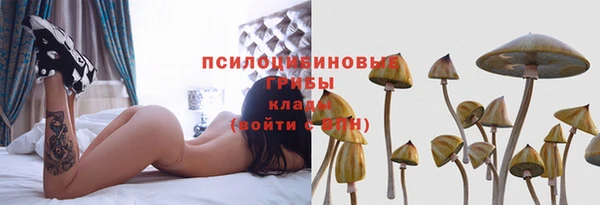 соль ск Богородицк