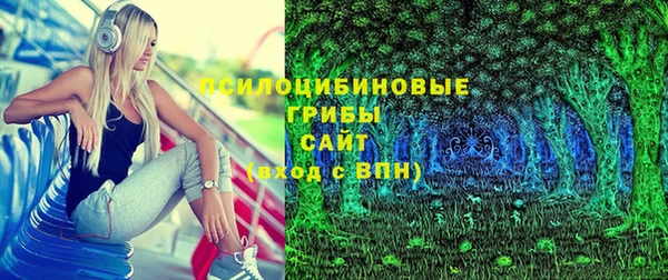 apvp Богданович