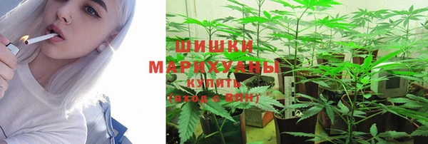 соль ск Богородицк
