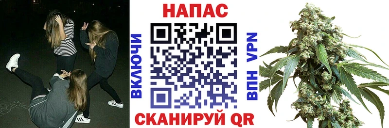Канабис семена Краснослободск